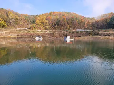 청풍실리곡낚시터  조황입니다.