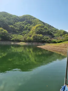 사오리 낚시터 조황정보