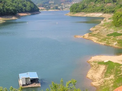 실리곡낚시터 41.7cm외 허리급 조황입니다.