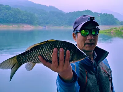 돌감낚시터 붕어 조황입니다.