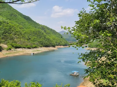 실리곡낚시터  4짜외 허리급4수입니다.