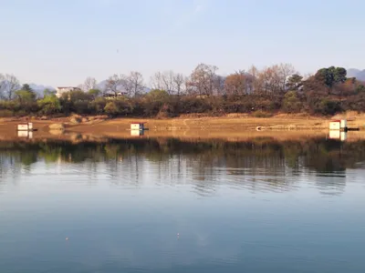 청풍 한버들 허릿급 조황입니다