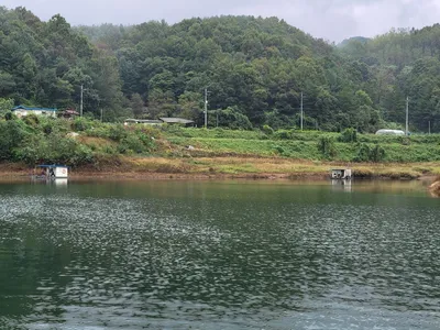실리곡낚시터  허리급 조황입니다.