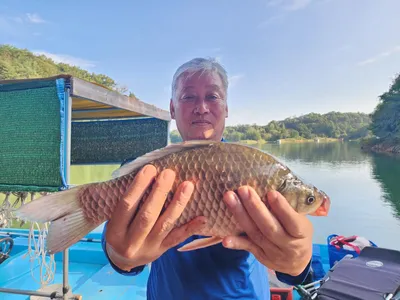돌감낚시터 붕어조황입니다.