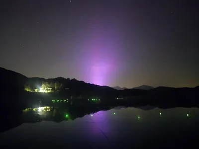 청풍 한버들 조황입니다