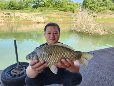 돌감낚시터 붕어조황입니다.
