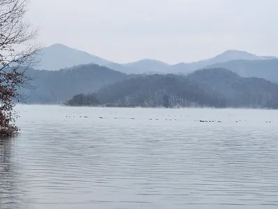 청풍 한버들 허리급및 월척들 호조황입니다