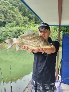 사오리 낚시터 조황정보