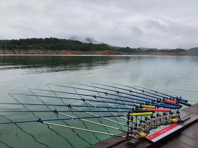  대물과 함께 하는곳 용곡 김기호 낙시터 조황정보 입니다