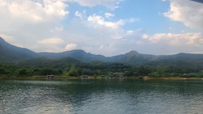 솔낚시터 조황 소식입니다.