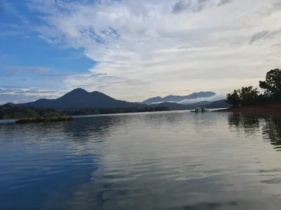 용곡 김기호 낚시터 조황정보 입니다