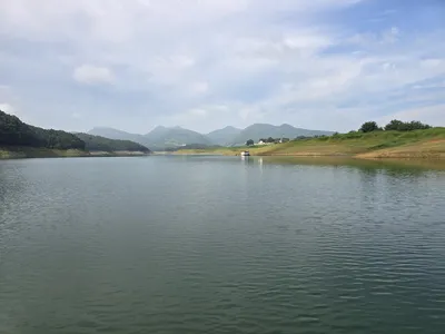 청풍 한버들 조황입니다