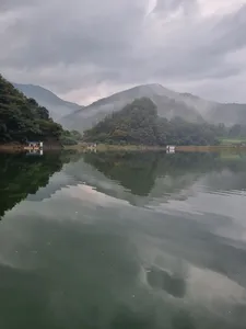 사오리 낚시터 조황정보