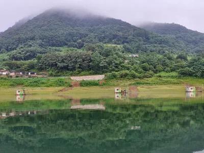 용곡 김기호 낚시터 조황정보 입니다