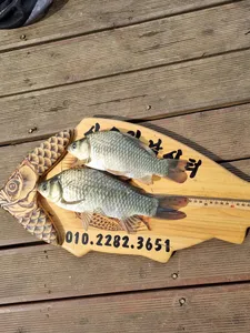 사오리 낚시터 조황정보