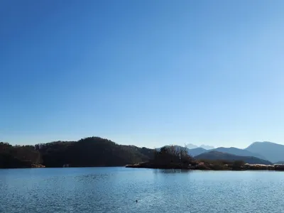 청풍 한버들 허릿급 조황입니다