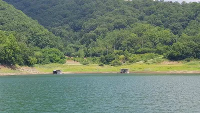 한버들 조황입니다