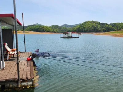 청풍 한버들 낚시터 첫 4짜및 월척 조황입니다