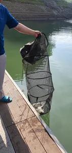 신매낚시터 6월 19일조황 