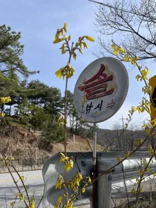 솔낚시터 조황 소식입니다.