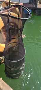 신매낚시터 8월 18일 조황