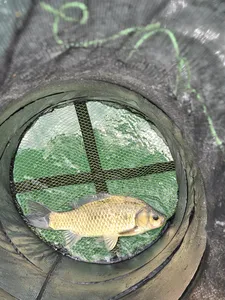 한가한 낚시( 허리급 월척)