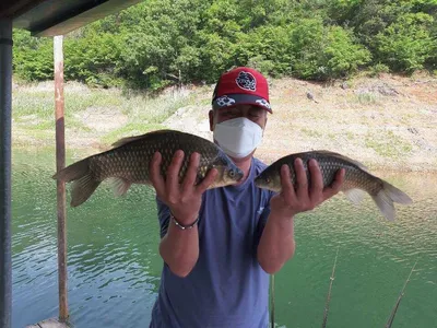 돌감낚시터 조황입니다.