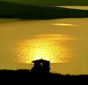 初夏(초하)의 힐링