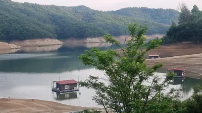 솔낚시터 사짜 조황 정보입니다.