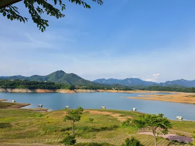  대물과 함께 하는곳 용곡 김기호 낙시터 조황정보 입니다