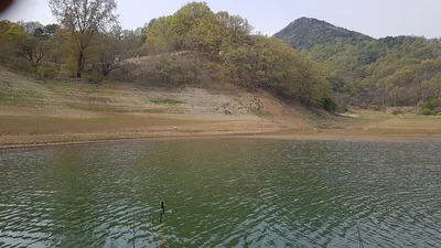 한버들 조황입니다