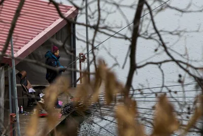 새해 복 많이 받으세요 ~ 솔낚시터입니다!