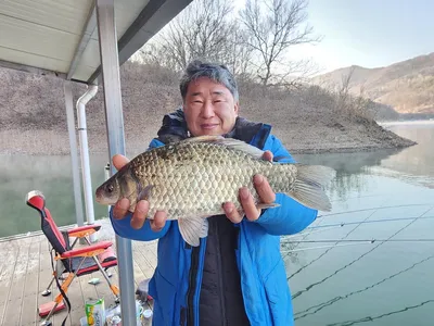 돌감낚시터 4짜 및 붕어조황입니다.