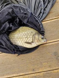 사오리낚시터 조황정보