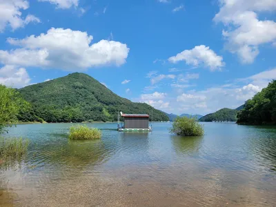 충주호목벌낚시터소식