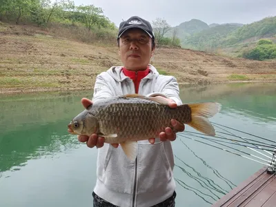 돌감낚시터 4짜 조황입니다.