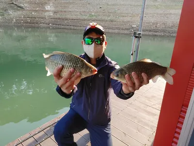 돌감낚시터 붕어조황입니다.