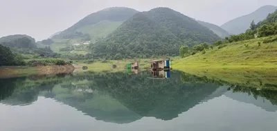 용곡 김기호 낚시터 사짜와 허리급 조황입니다
