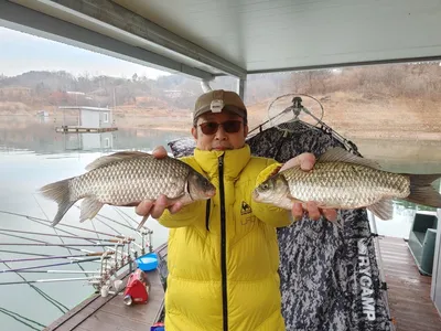 돌감낚시터 붕어조황입니다.