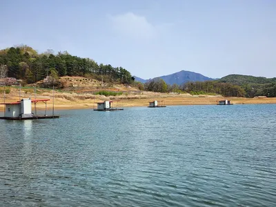 청풍 한버들 조황입니다