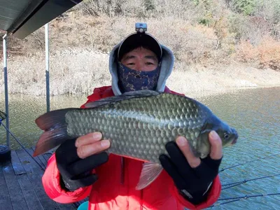 돌감낚시터 38.5cm 