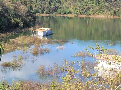 청풍 실리곡낚시터 대물 조황입니다.