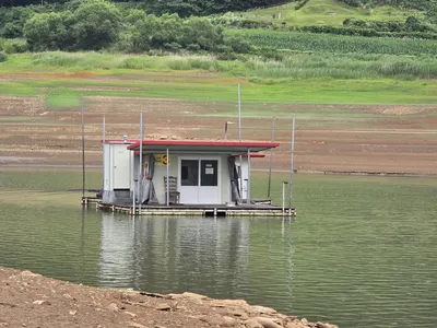 청풍 한버들 조황입니다