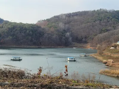실리곡낚시터 허리급 조황입니다.