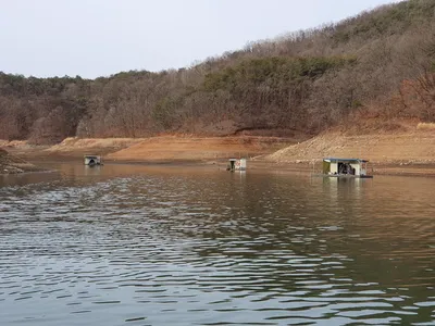 실리곡낚시터 올해 첫붕어 소식입니다.
