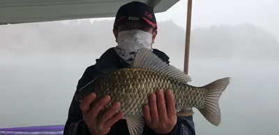 충주호 짱가네낚시터 