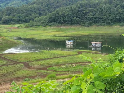 청풍 실리곡낚시터  4짜외 허리급마릿수입니다.