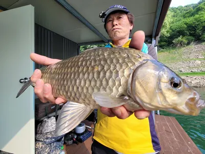 목벌낚시터 연일 4짜행진중...