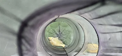 신매낚시터 7월 21일 조황