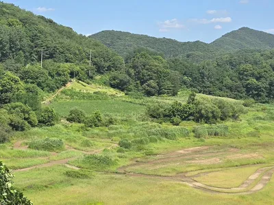 청풍 한버들 조황입니다